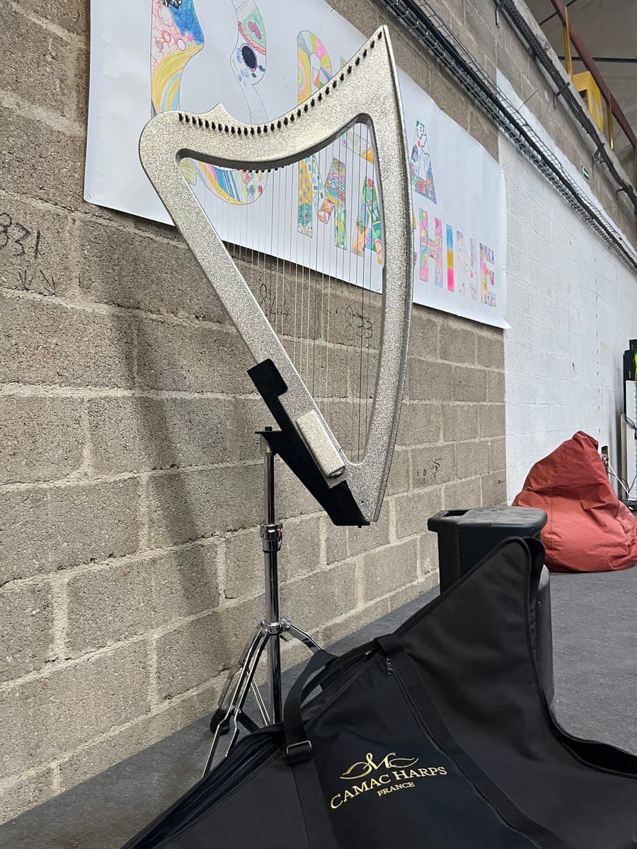 La harpe de Véronique Gantès Vogt sur son support